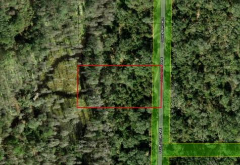County Road 54 E Kathleen FL 33849