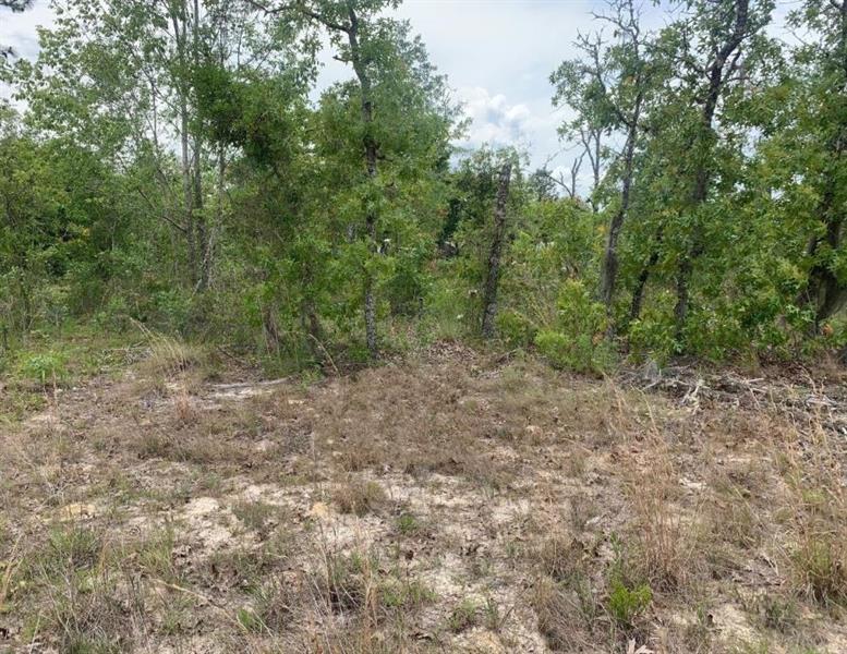 Monroe Street Interlachen FL 32148