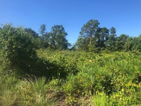 153 Disney Boulevard Avon Park FL 33825
