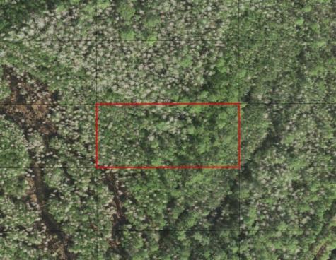 Holopaw Groves Road St. Cloud FL 34772
