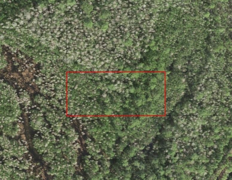 Holopaw Groves Road St. Cloud FL 34772