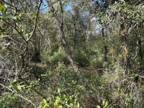 County Road 54 E Kathleen FL 33849