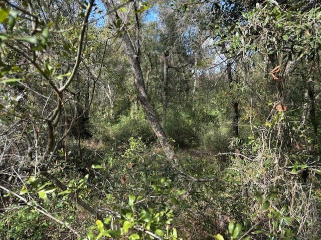County Road 54 E Kathleen FL 33849