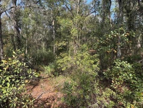 County Road 54 E Kathleen FL 33849