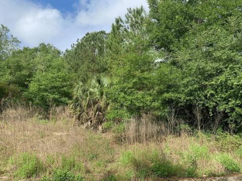 Douglas Drive Interlachen FL 32148