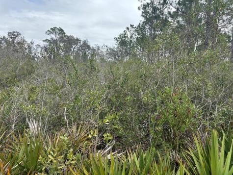 Old Grade Road Other City - In The State Of Florida FL 33868