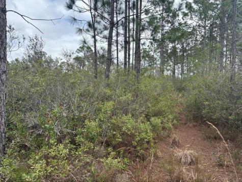 Old Grade Road Other City - In The State Of Florida FL 33868