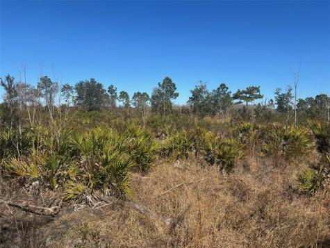 Xeriscape Nursery Road Frostproof FL 33898