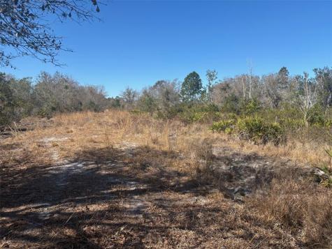 Xeriscape Nursery Road Frostproof FL 33898