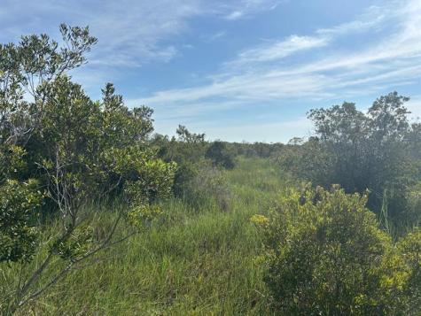 NW 308th Street Okeechobee FL 34972