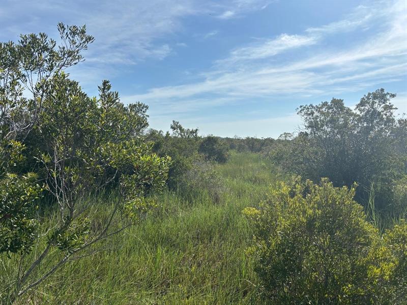 NW 308th Street Okeechobee FL 34972
