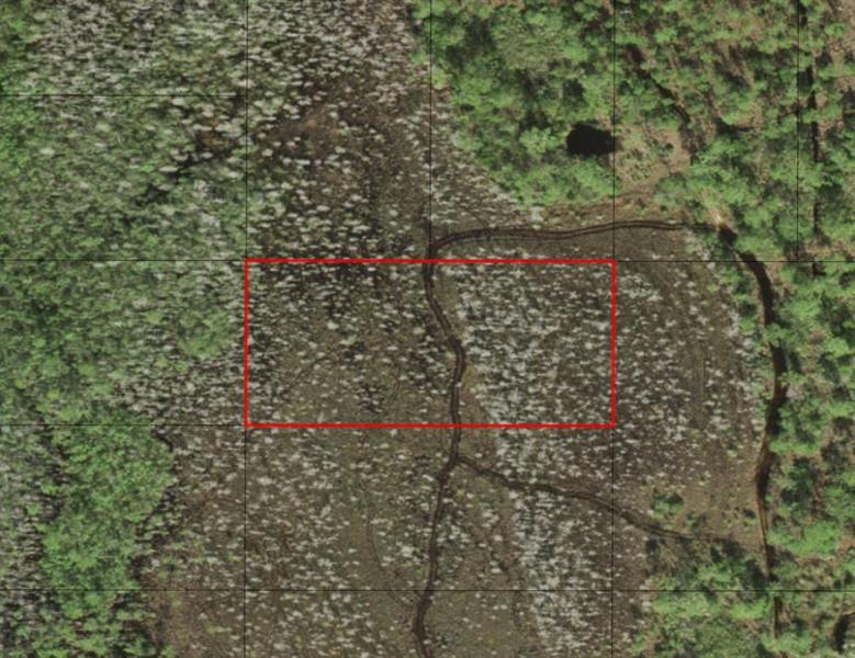 Holopaw Groves Road St. Cloud FL 34772