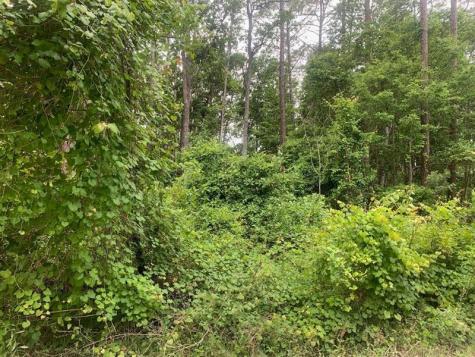 123 Coot Road Satsuma FL 32189