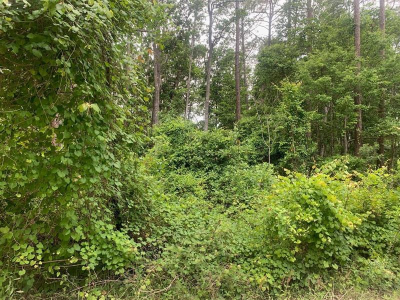 123 Coot Road Satsuma FL 32189