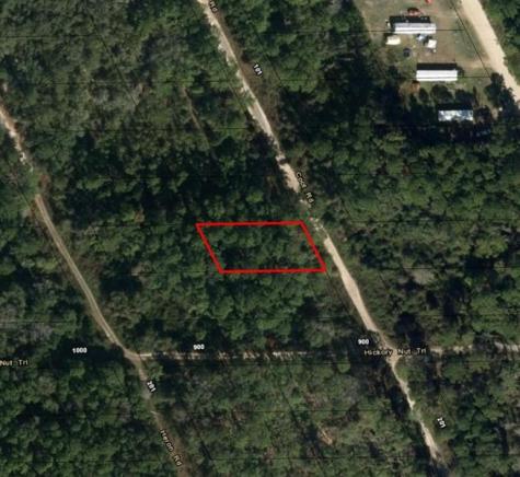 123 Coot Road Satsuma FL 32189