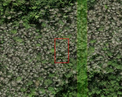 Holopaw Groves Road St. Cloud FL 34772
