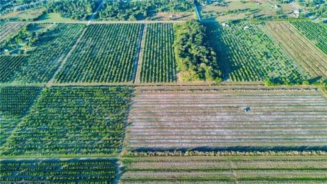 1050 Arbuckle Creek Road Lorida FL 33857