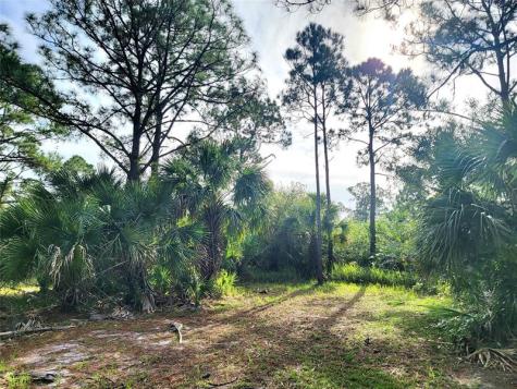 15350 93RD Street Fellsmere FL 32948