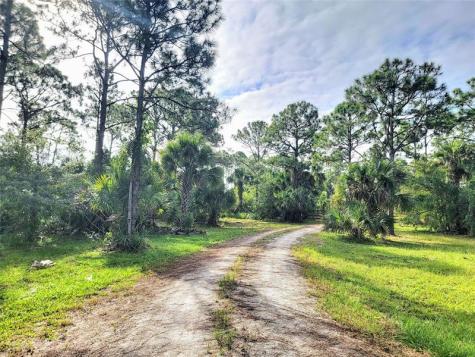 15350 93RD Street Fellsmere FL 32948