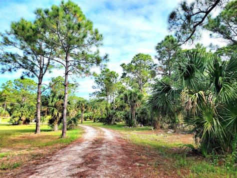 15350 93RD Street Fellsmere FL 32948
