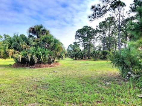 15350 93RD Street Fellsmere FL 32948