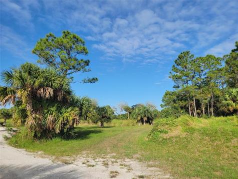 15350 93RD Street Fellsmere FL 32948