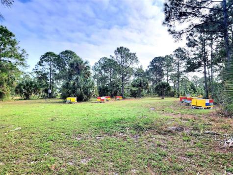 15350 93RD Street Fellsmere FL 32948