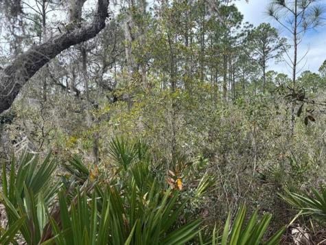Old Grade Road Other City - In The State Of Florida FL 33868