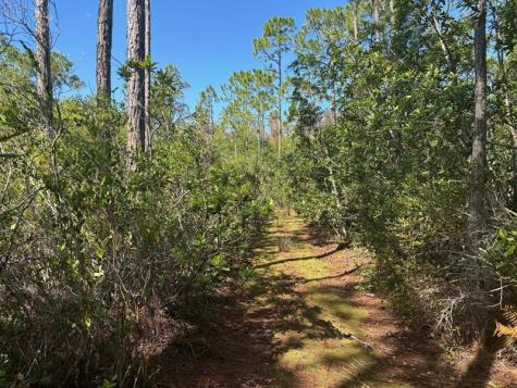 Holopaw Groves Road St. Cloud FL 34772