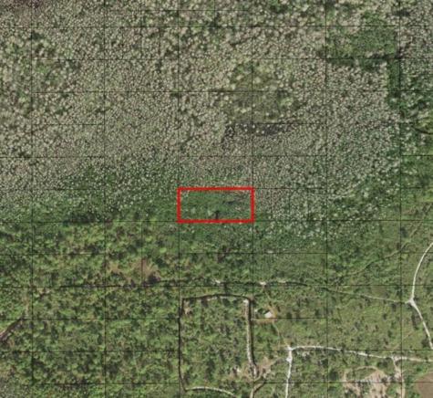 Holopaw Groves Road St. Cloud FL 34772