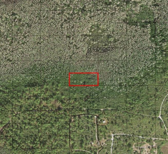 Holopaw Groves Road St. Cloud FL 34772