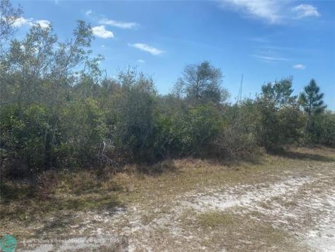 Lot 5 BLK 341 Palm Beach Drive Indian Lake Estates FL 33855