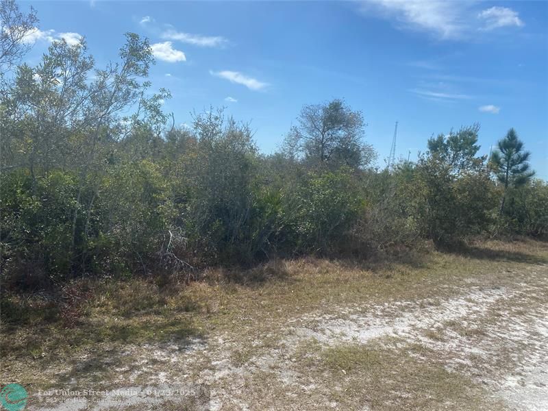 Lot 5 BLK 341 Palm Beach Drive Indian Lake Estates FL 33855