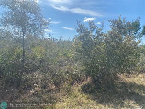 Lot 5 BLK 341 Palm Beach Drive Indian Lake Estates FL 33855