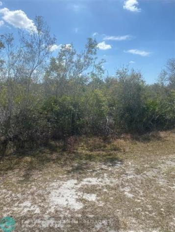 Lot 5 BLK 341 Palm Beach Drive Indian Lake Estates FL 33855