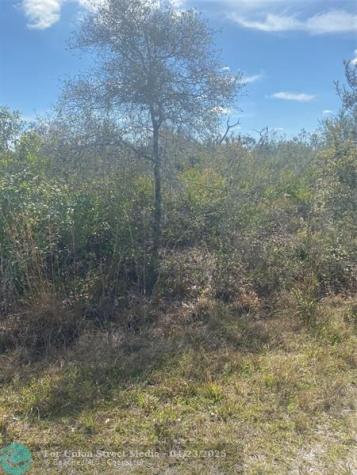 Lot 5 BLK 341 Palm Beach Drive Indian Lake Estates FL 33855