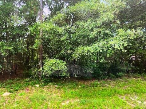 9550 N Quarry Drive Citrus Springs FL 34434