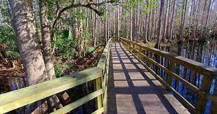 248 Suwanner Drive Lake Placid FL 33852