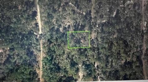 248 Suwanner Drive Lake Placid FL 33852