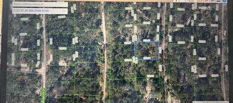 248 Suwanner Drive Lake Placid FL 33852