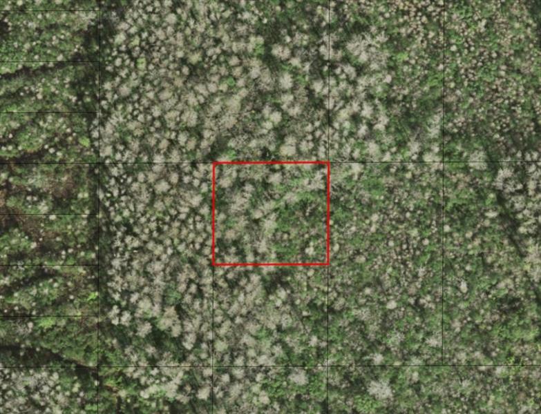 Holopaw Groves Road St. Cloud FL 34772