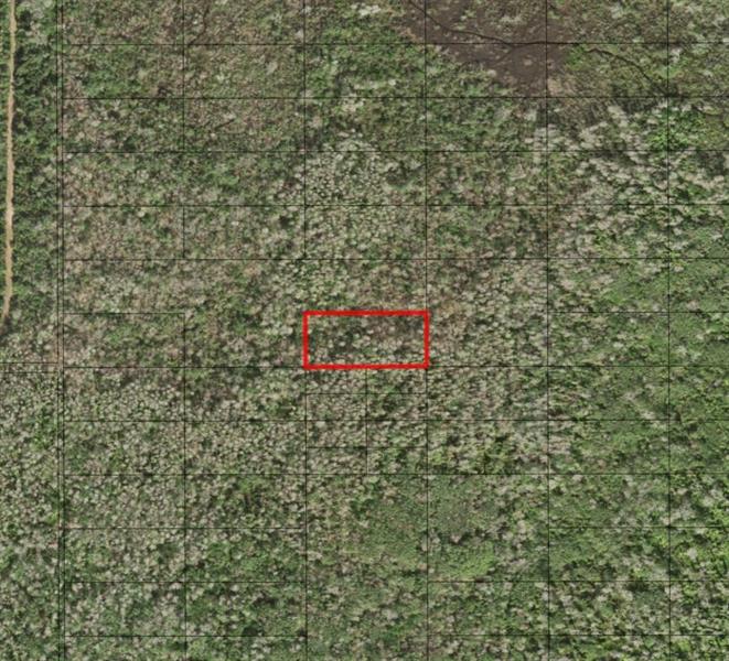 Holopaw Groves Road St. Cloud FL 34772