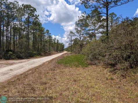 430 Apple Blossom Avenue Lake Placid FL 33852