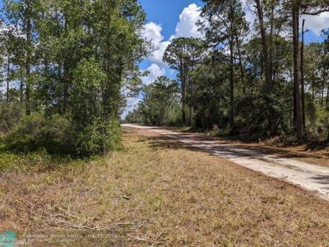 430 Apple Blossom Avenue Lake Placid FL 33852