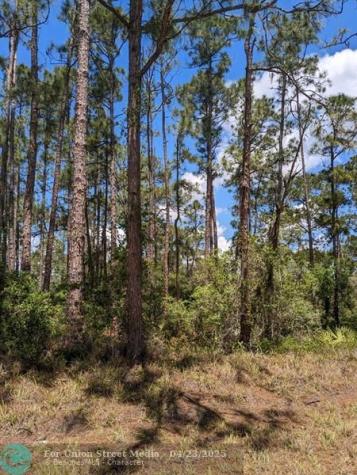 430 Apple Blossom Avenue Lake Placid FL 33852