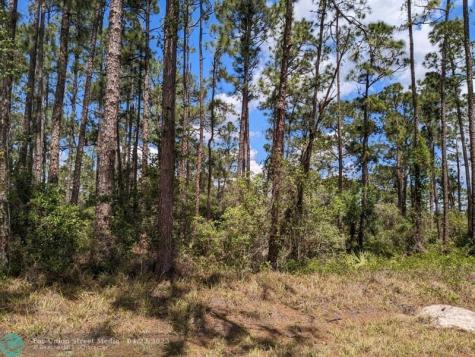 430 Apple Blossom Avenue Lake Placid FL 33852