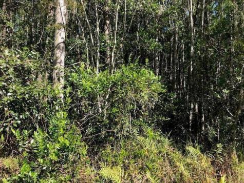 Old Grade Road Other City - In The State Of Florida FL 33868
