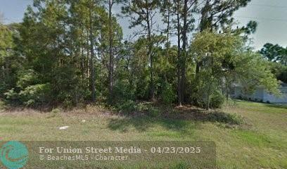 3243 W Cushion Drive Citrus Springs FL 34433