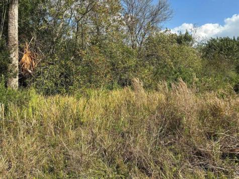 3584 Us Highway 98 Okeechobee FL 34972