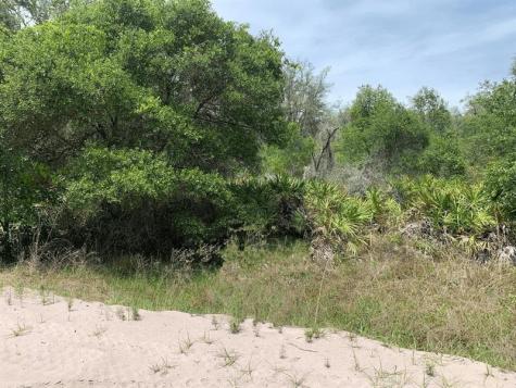 County Road 54 E Kathleen FL 33849